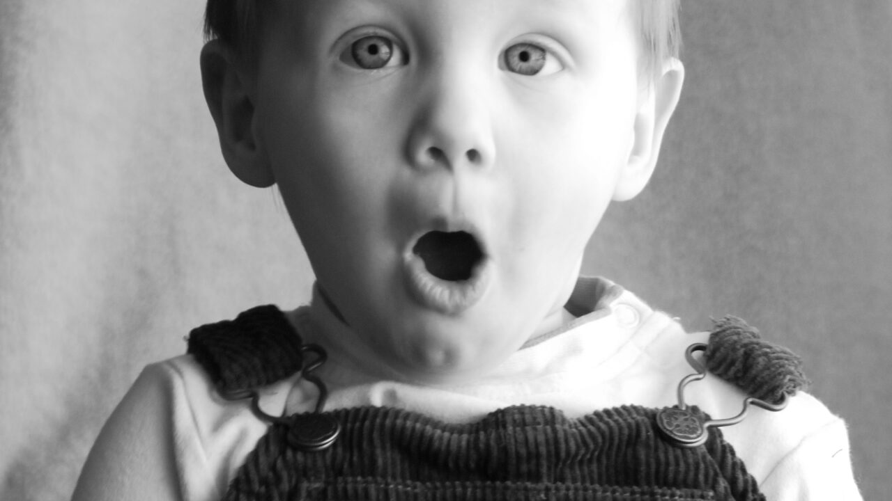 Adultomorphisme – Mais keskecé que ce gros mot ?